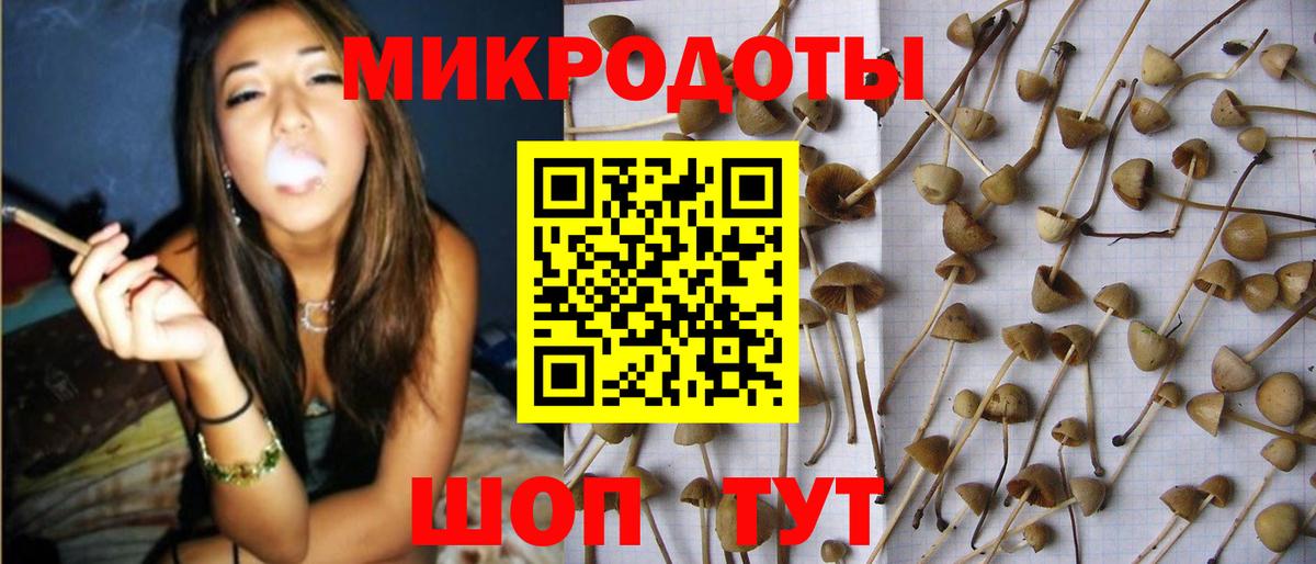 Галлюциногенные грибы мицелий Гагарин