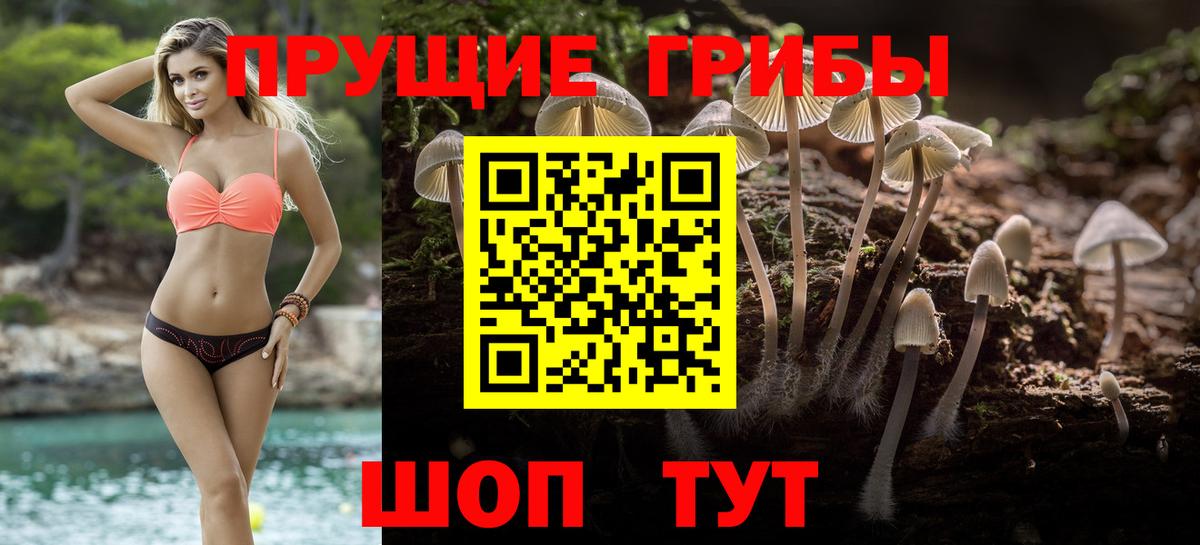 Галлюциногенные грибы мухоморы  Галлюциногенные грибы GOLDEN TEACHER  Гагарин  где найти наркотики  Вход с VPN 
